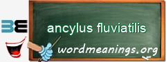 WordMeaning blackboard for ancylus fluviatilis